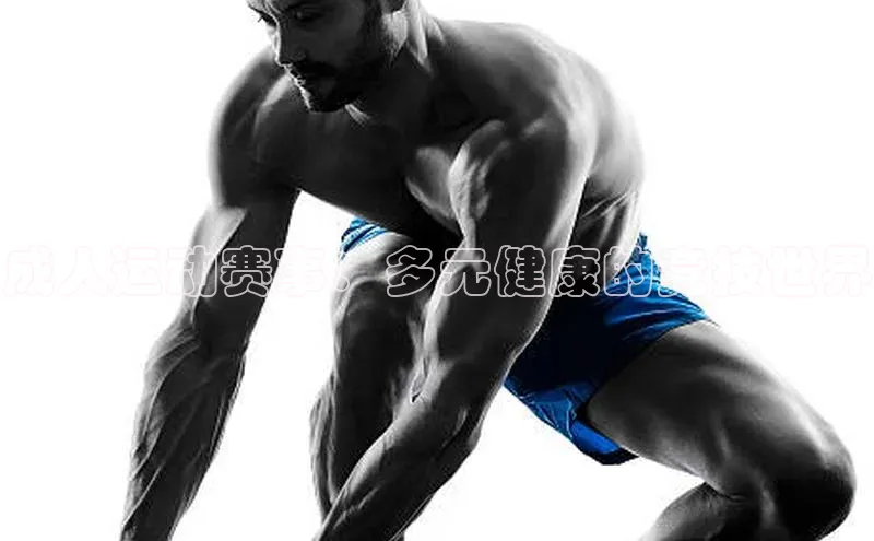 成人运动赛事：多元健康的竞技世界