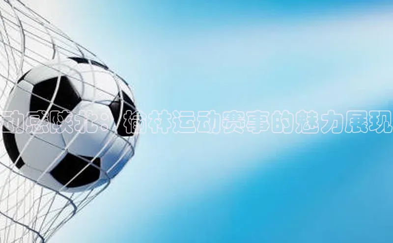 动感陕北：榆林运动赛事的魅力展现