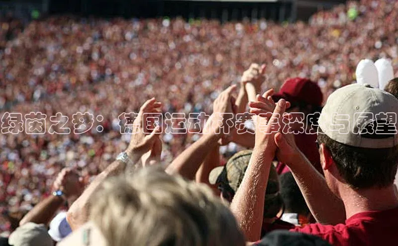 绿茵之梦：德国运动杯赛事深度与展望