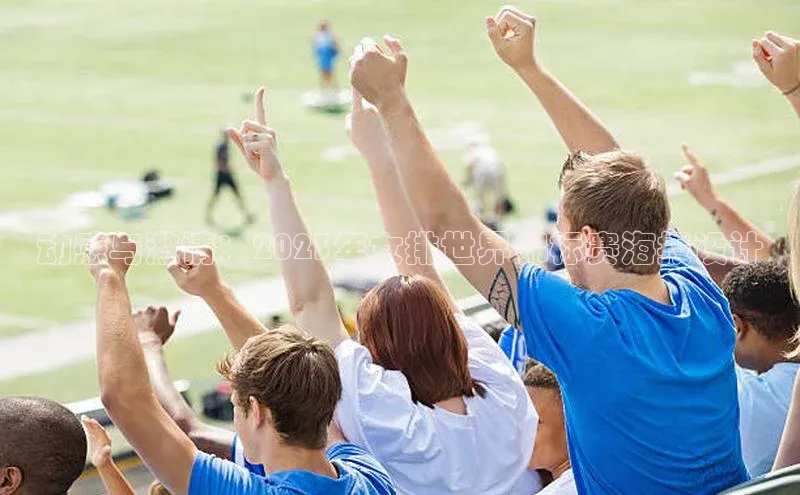 动感与激情：2023年女排世界锦标赛海报设计