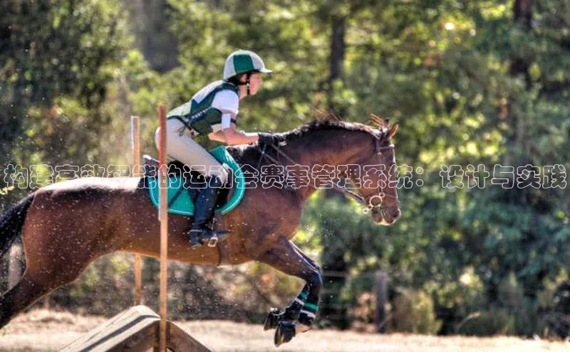 构建高效智能的运动会赛事管理系统：设计与实践