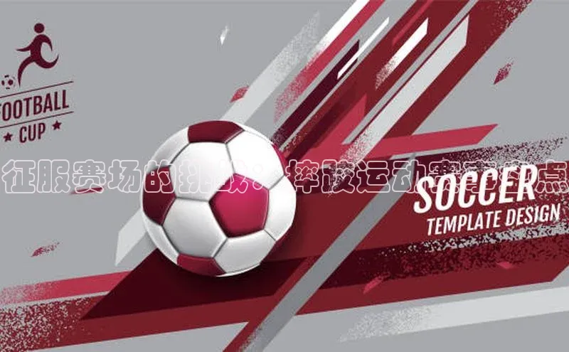 征服赛场的挑战：摔跤运动赛事盘点