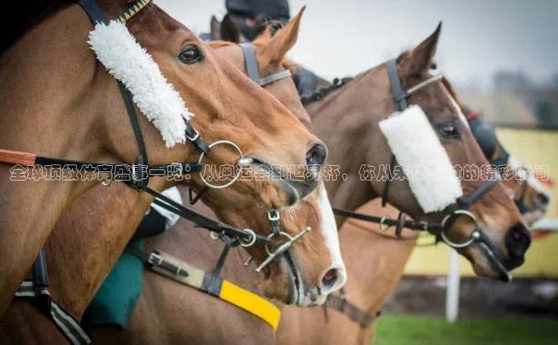 全球顶级体育盛事一览：从奥运会到世界杯，你从未体验过的精彩瞬间