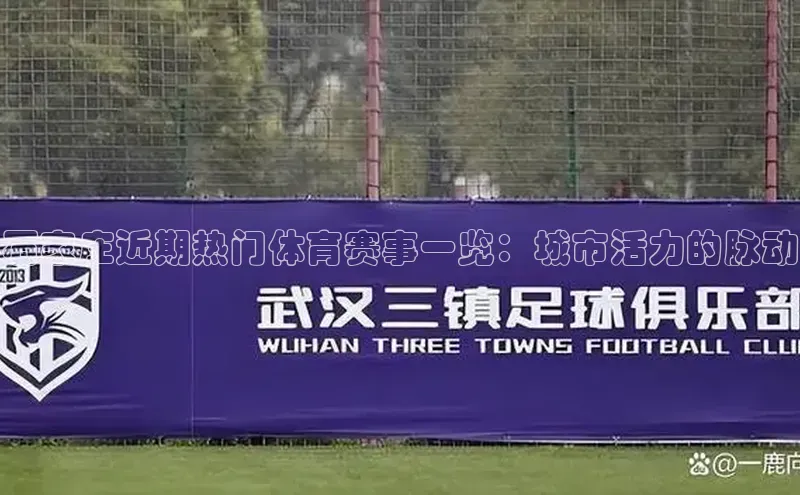 石家庄近期热门体育赛事一览：城市活力的脉动