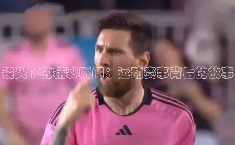 焦点中文app登录入口