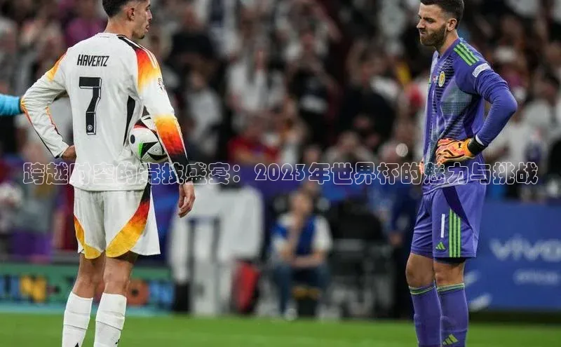 焦点登录平台登录入口