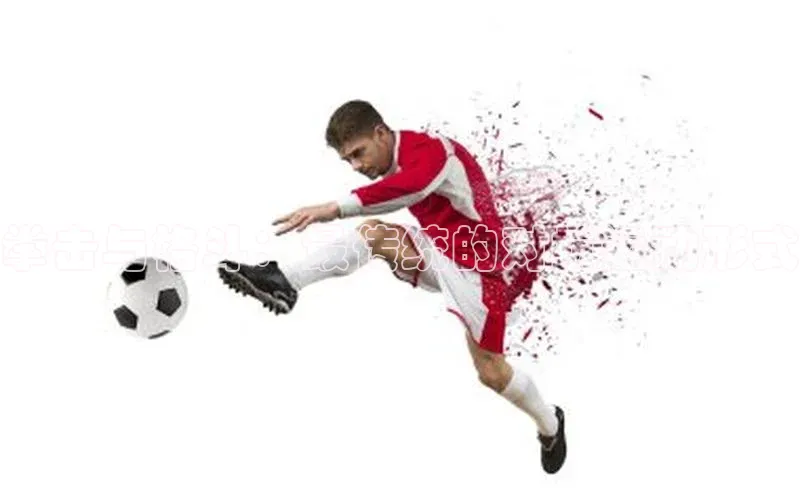 拳击与格斗：最传统的对抗运动形式