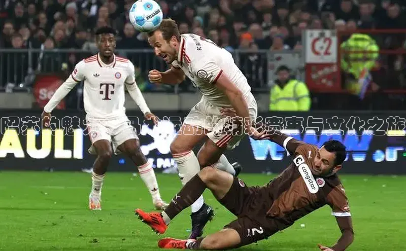 焦点登录地址入口